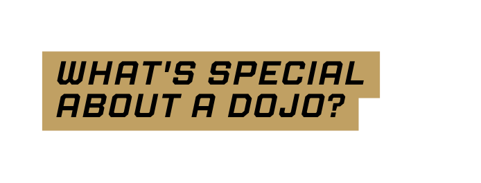 What s special about a Dojo